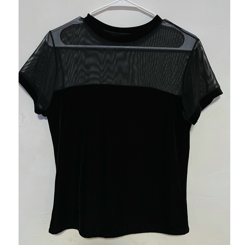 Sheer top with velvet bottom/sleeve detail